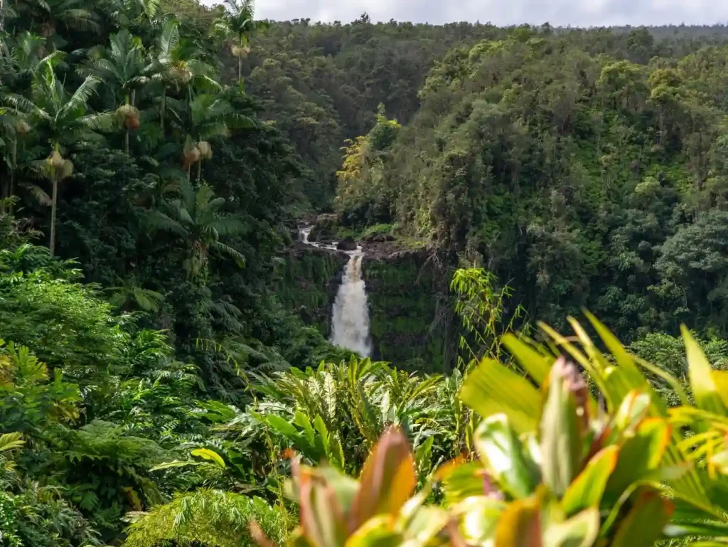 Viajar con amigos a Costa Rica