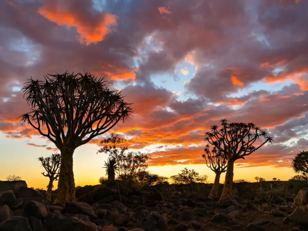 Consejos para viajar a Sudáfrica